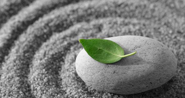 Olea Health | 587 River Rd W, Wasaga Beach, ON L9Z 2P2, Canada | Phone: (705) 429-0015