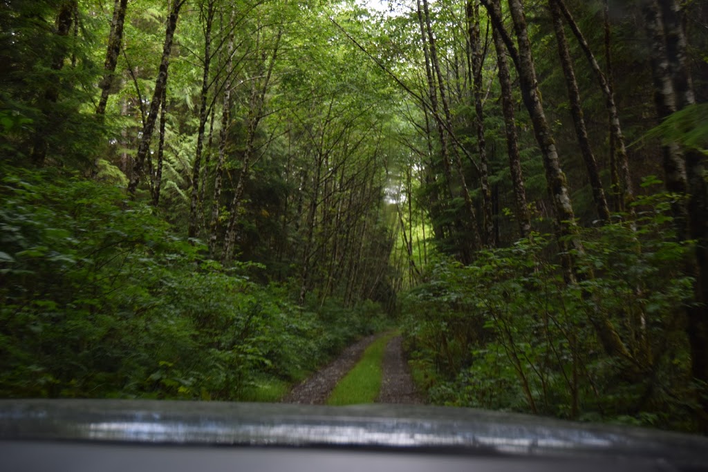 FarOut Wilderness | 4060 Raymond St N, Victoria, BC V8Z 4L3, Canada | Phone: (778) 887-0396