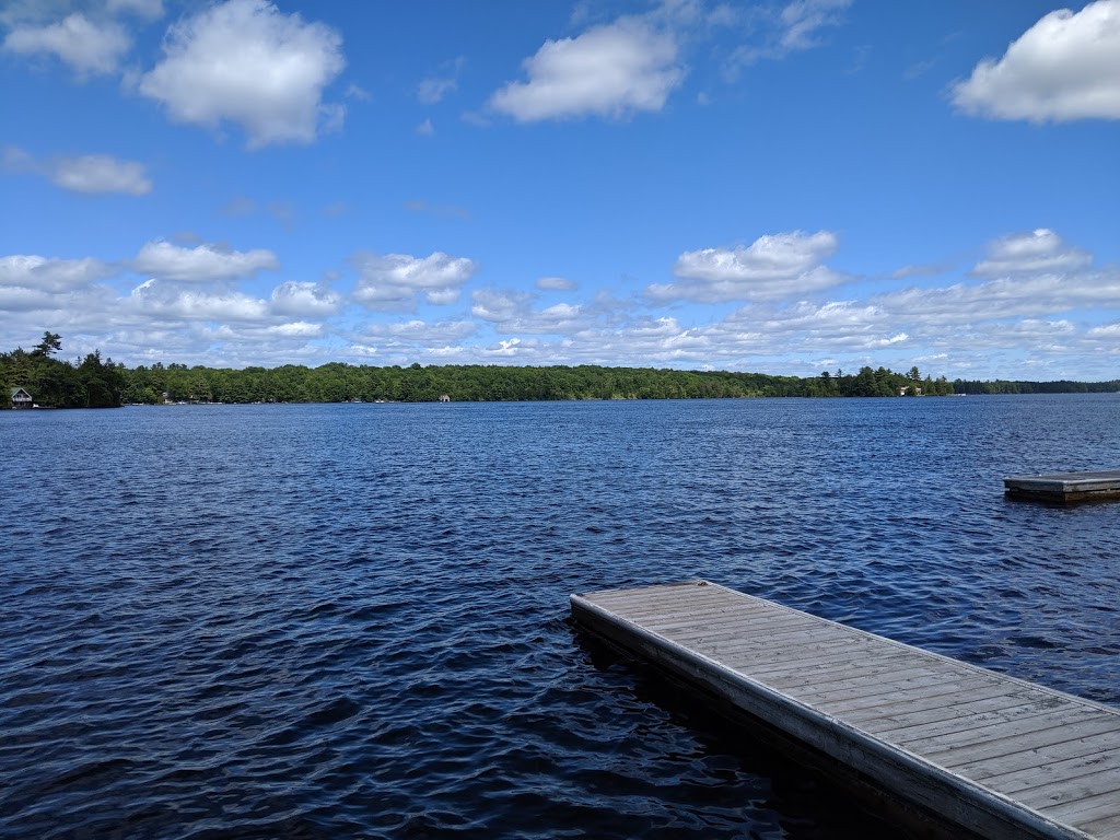 Bala Cove Marina | 1021 Gordon St, Bala, ON P0C 1A0, Canada | Phone: (705) 762-1553