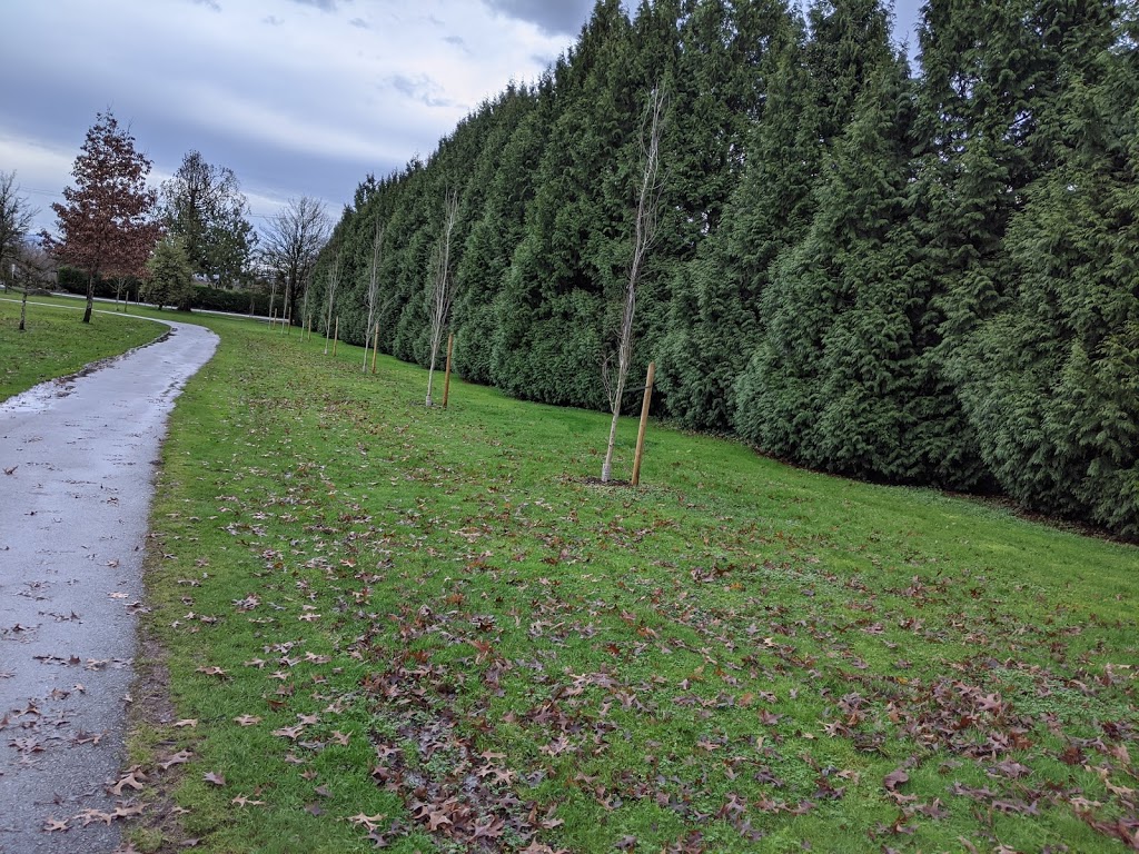 Frost Road Park | 8607 164a St, Surrey, BC V4N 1C7, Canada | Phone: (604) 591-4011