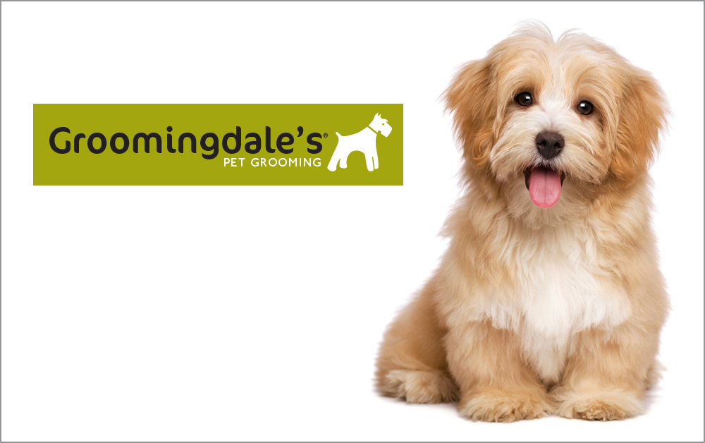 Groomingdales | 4410 48 St, Stony Plain, AB T7Z 1L4, Canada | Phone: (780) 963-1207