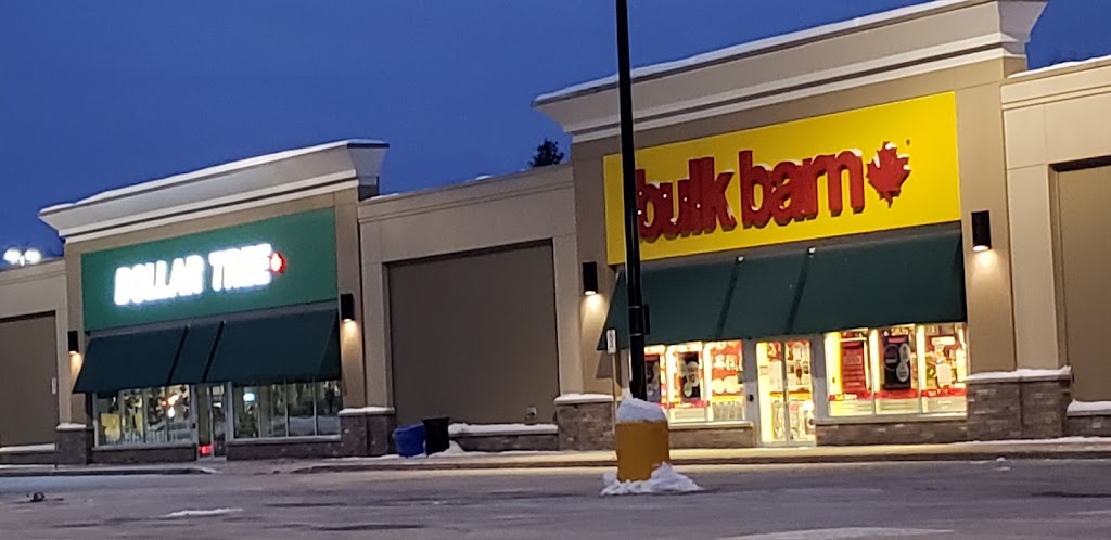Bulk Barn | 32 Depot Dr, Bracebridge, ON P1L 0A1, Canada | Phone: (705) 645-2735