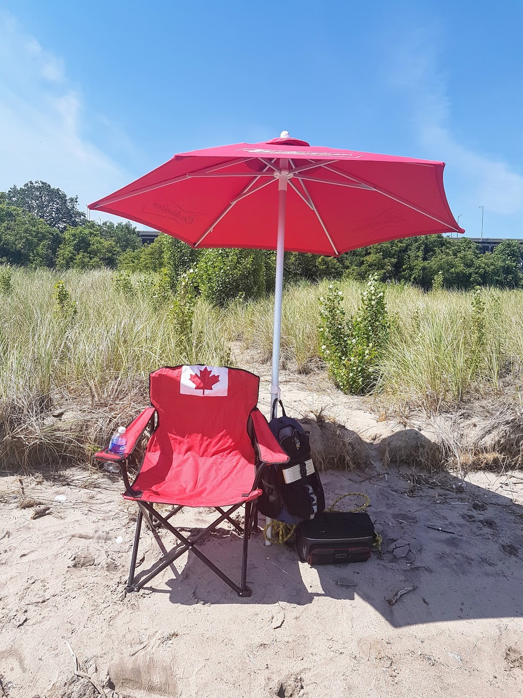 Beach Marine | 1127 Beach Blvd, Hamilton, ON L8H 6Z9, Canada | Phone: (905) 545-4745