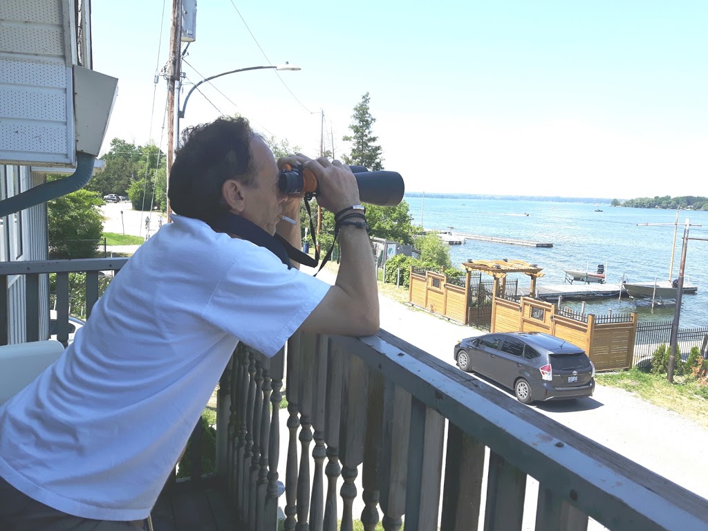 The Perch Palace | 981 Lake Dr N, Keswick, ON L4P 3E9, Canada | Phone: (905) 476-4065