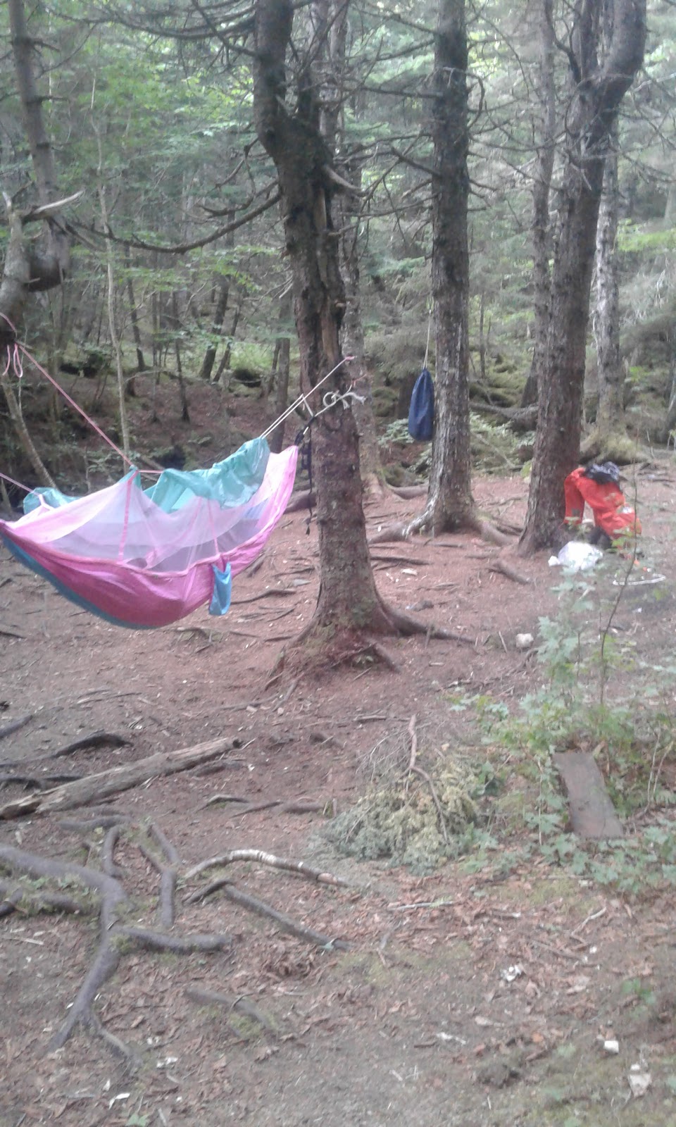 Cradle Brook - UNESCO Fundy Biosphere Reserve Amazing Place | Saint Martins Parish, NB E5R, Canada | Phone: (506) 874-3272