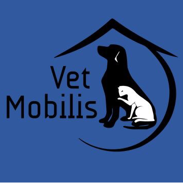 veterinaire a domicile Vetmobilis.com | 1312 Rue de Montarville, Saint-Bruno-de-Montarville, QC J3V 3T4, Canada | Phone: (514) 773-7007