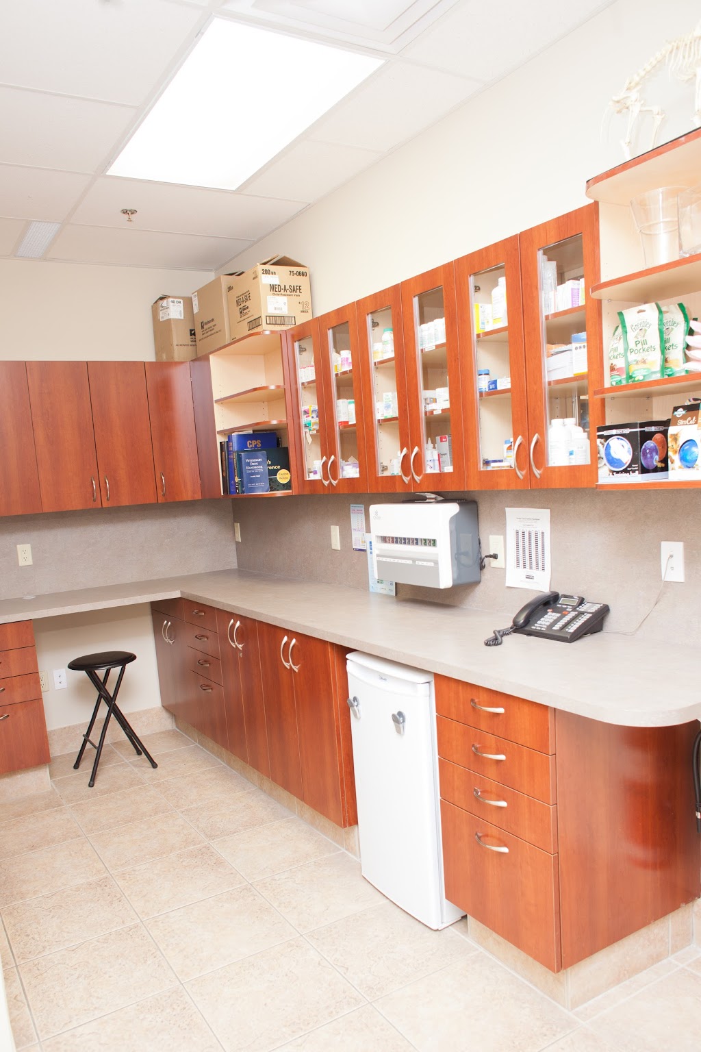 Cedarview Animal Hospital | 4100 Strandherd Dr #106, Nepean, ON K2J 0V2, Canada | Phone: (613) 825-5001