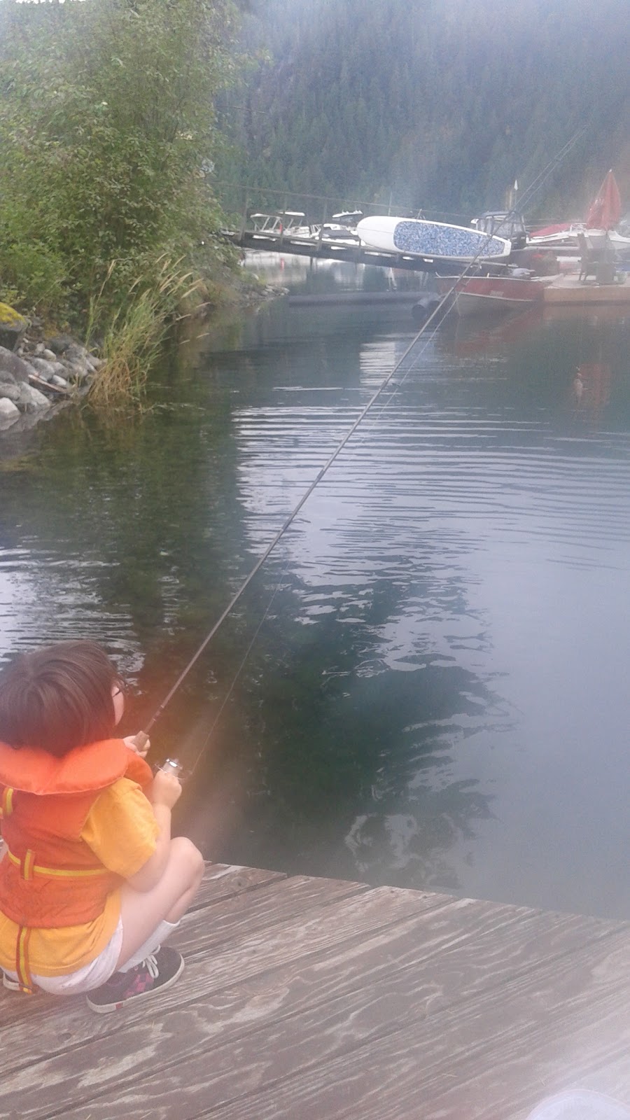 Boot Lagoon Hatchery | 11113 Central Lake Rd, Port Alberni, BC V9Y 8Z2, Canada | Phone: (250) 723-4644
