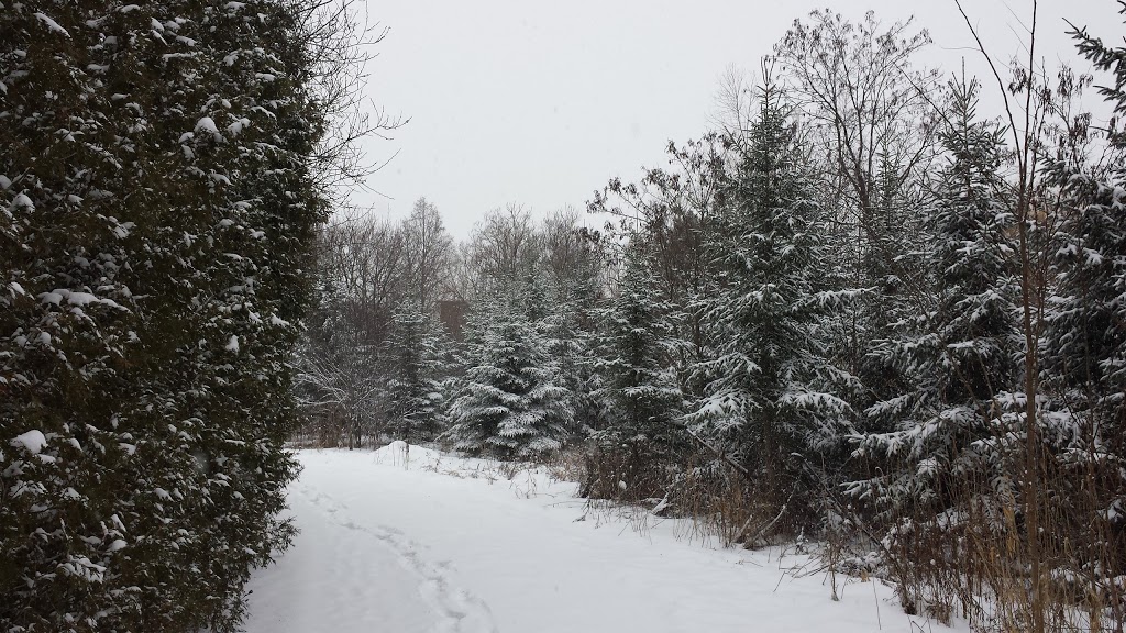 Springbrook Park | Richmond Hill, ON L4B 3P9, Canada | Phone: (905) 771-8800