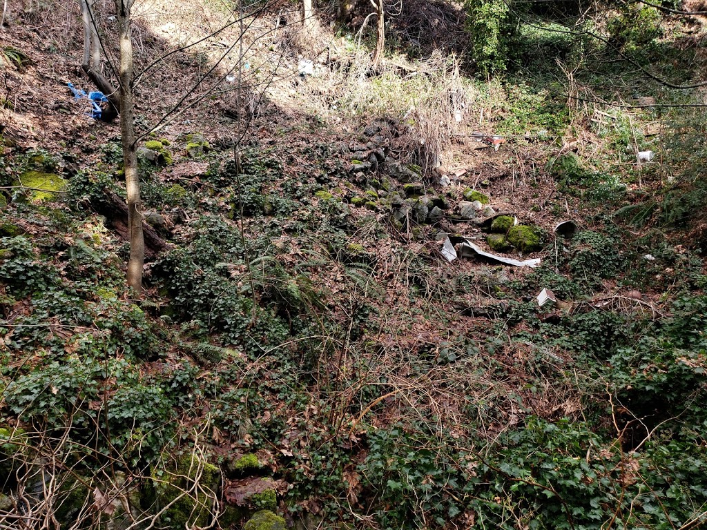 Dog Off Leash Area | Unnamed Road, Nanaimo, BC V9S 1V6, Canada | Phone: (250) 756-5200