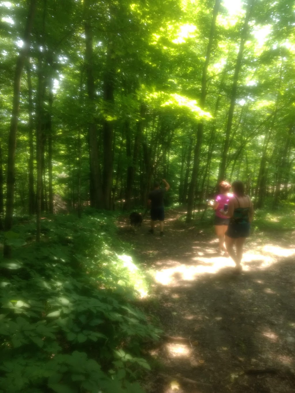 Pauls Creek Campground | 6758 McDonalds Corners Rd, McDonalds Corners, ON K0G 1M0, Canada | Phone: (613) 278-2770