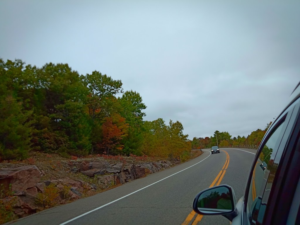 Mark Gidley, Forest Hill Real Estate Inc. Brokerage | 3125 Muskoka District Road 169, Bala, ON P0C 1A0, Canada | Phone: (705) 706-7065
