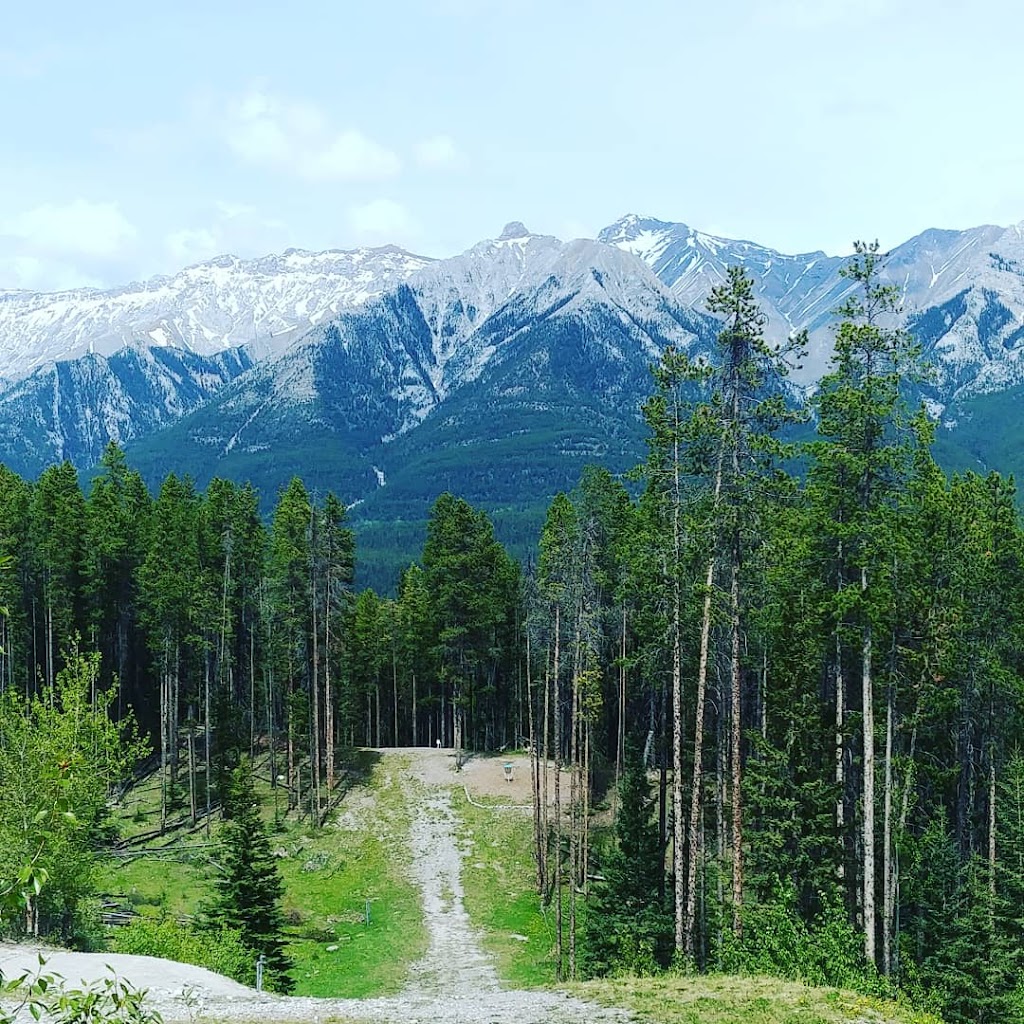 GO FIGURE FIT | 102 Boulder Crescent #207, Canmore, AB T1W 1L2, Canada | Phone: (403) 678-2846