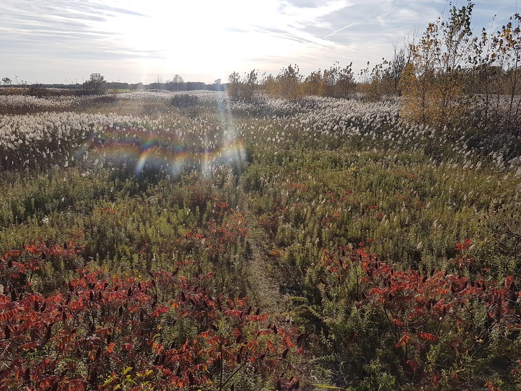 Ruscom Shores Conservation Area | Pointe aux Roches, Lakeshore, ON N0R 1S0, Canada | Phone: (519) 776-5209