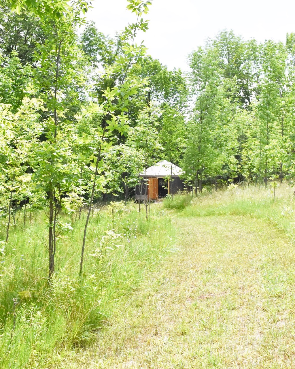 Georgian Bay Mind Body Wellness | 178 Shilvock Side Rd, Kimberley, ON N0C 1G0, Canada | Phone: (905) 758-1203