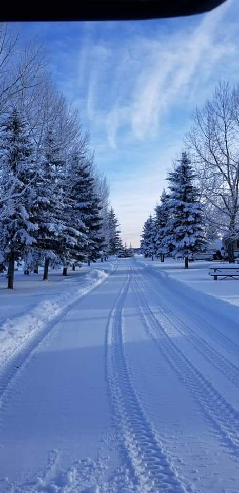 Wagons West RV Park & Storage | 103 5446 Hwy 584, Sundre, AB T0M 1X0, Canada | Phone: (403) 638-4402