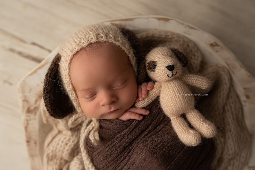 Misty Blue Photography | 615 Perry St, Fergus, ON N1M 2R5, Canada | Phone: (519) 993-3505