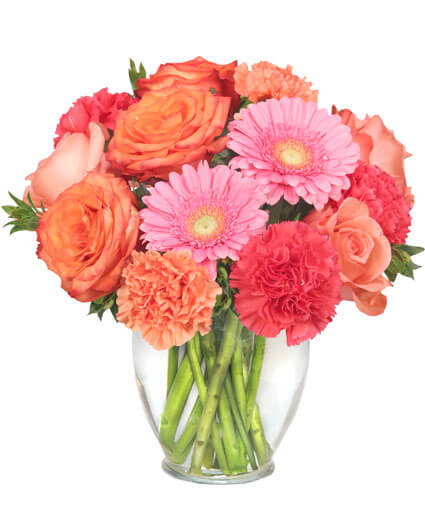 TL Yorke Floral Design | 8 Oland Crescent, Halifax, NS B3S 1C6, Canada | Phone: (902) 450-0101