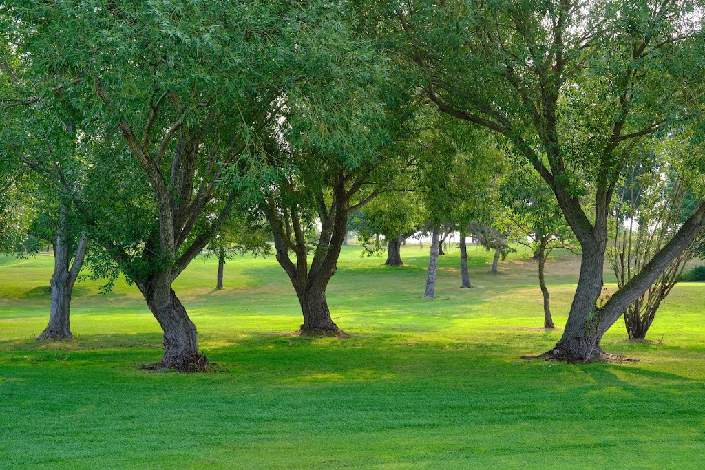 Stony Plain Golf Course | 18 Fairway Dr, Stony Plain, AB T7Z 1M3, Canada | Phone: (780) 963-2133