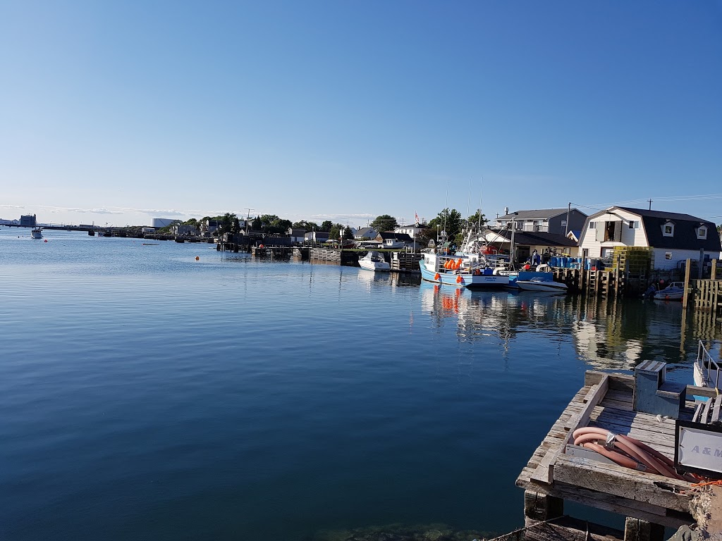 A&M Sea Charters | 87 Government Wharf Rd, Eastern Passage, NS B3G, Canada | Phone: (902) 465-6617
