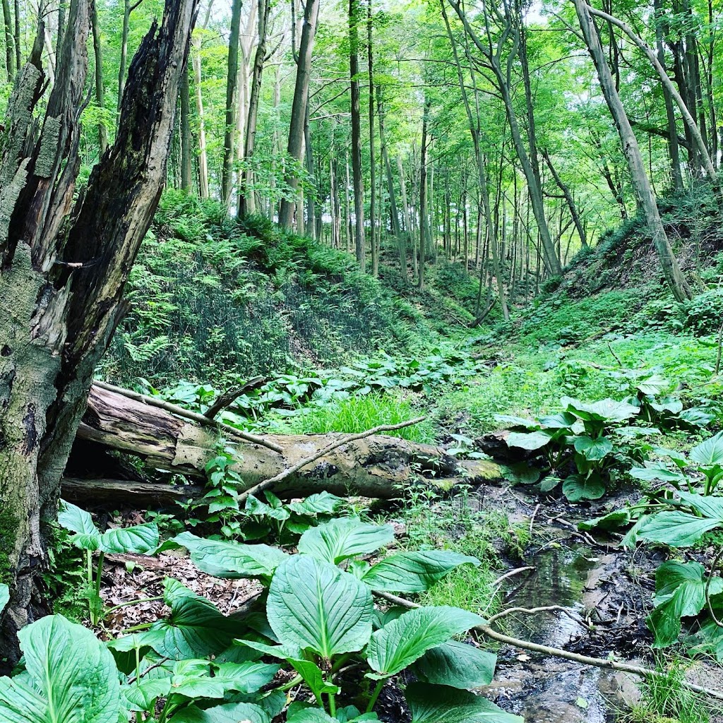Outdoor Occupational Therapy Elgin | 4220 Thomas Rd, Port Stanley, ON N5L 1J2, Canada | Phone: (519) 362-7337