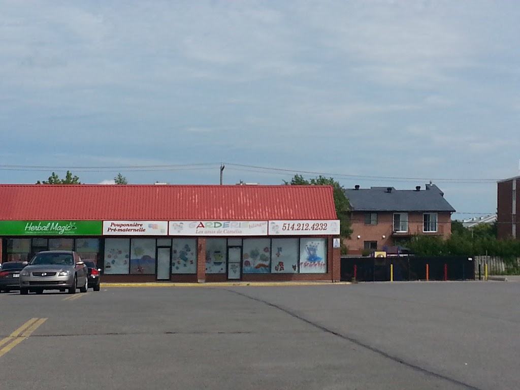 Garderie Les Amis De Camelia | 2313 Bd du Curé-Labelle, Laval, QC H7T 1R3, Canada | Phone: (514) 212-4232