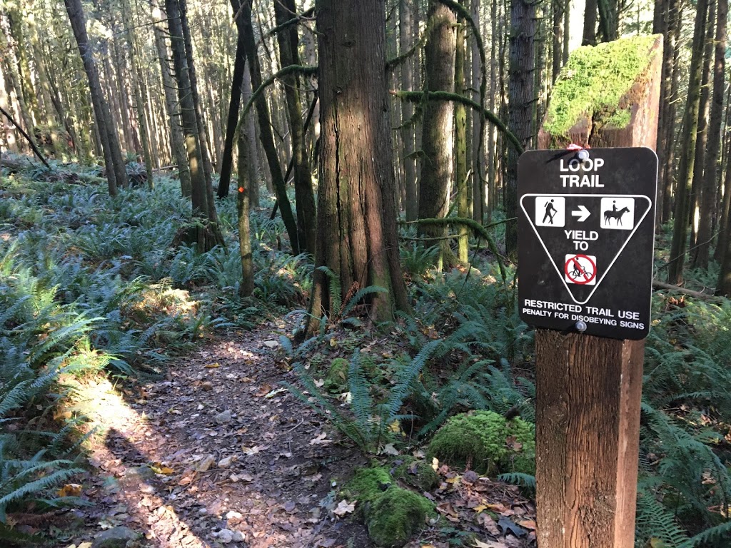 Loop Trail | Golden Ears Pkwy, Maple Ridge, BC V0M, Canada