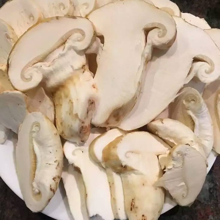 Pacific Rim Mushrooms | 12791 Blundell Rd, Richmond, BC V6Y 1B4, Canada | Phone: (778) 847-1666