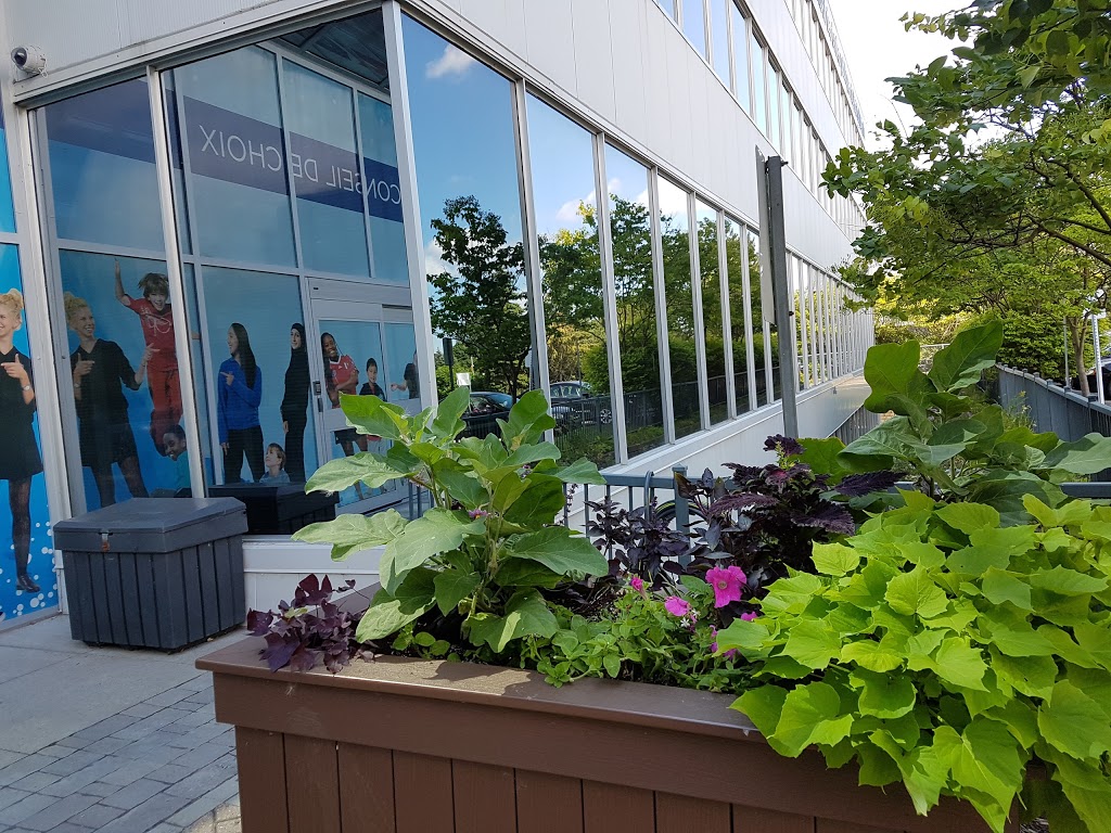 École secondaire publique lAlternative | 2445 St Laurent Blvd, Ottawa, ON K1G 6C3, Canada | Phone: (613) 745-0369
