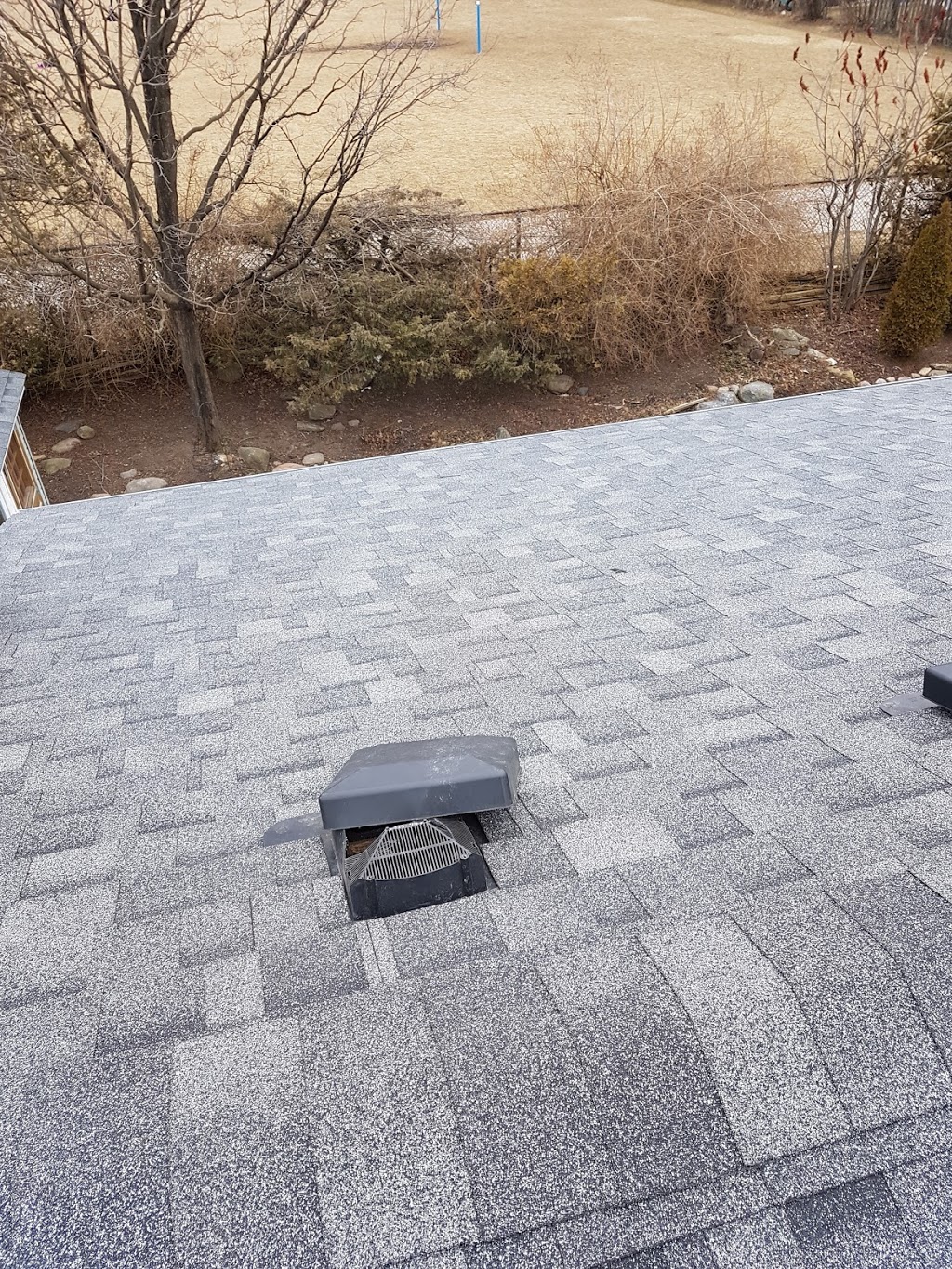 Annex Wildlife Control & Repair | 2831 Kingston Rd, Scarborough, ON M1M 1N2, Canada | Phone: (416) 459-1575