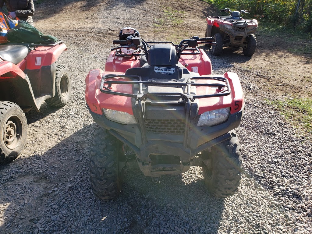Back Country Tours | 2839 ON-60, Dwight, ON P0A 1H0, Canada
