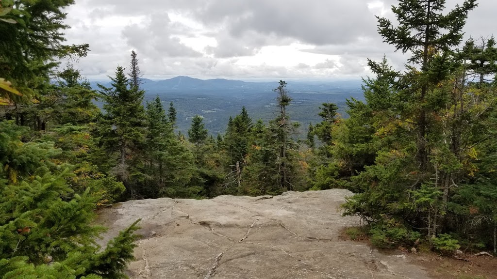 Willoughby State Forest | Sutton, VT 05867, USA | Phone: (802) 535-8410