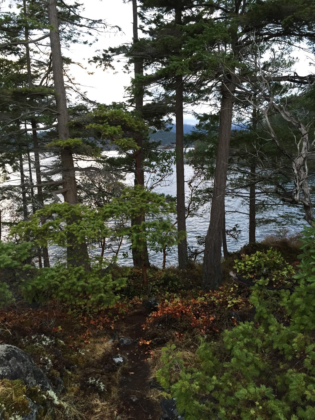 Daniel Point Park | 4190 Orca Rd, Garden Bay, BC V0N 1S1, Canada | Phone: (604) 885-6800