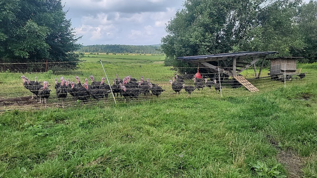 Aux Verts Pâturages | 251 Rue Principale E, Sainte-Anne-de-la-Rochelle, QC J0E 2B0, Canada | Phone: (579) 439-2107