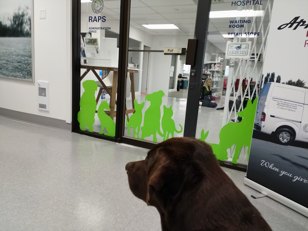 RAPS Animal Hospital | 13340 Smallwood Pl #205, Richmond, BC V6V 1W8, Canada | Phone: (604) 242-1666