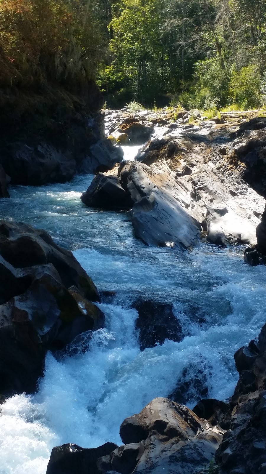 Skutz Fall parking lot trail head | Riverbottom Rd W, Lake Cowichan, BC V0R 2G0, Canada