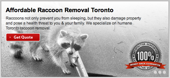 Pestend Pest Control | 4839 Dovehouse Dr, Mississauga, ON L5M 7K7, Canada | Phone: (416) 749-9206