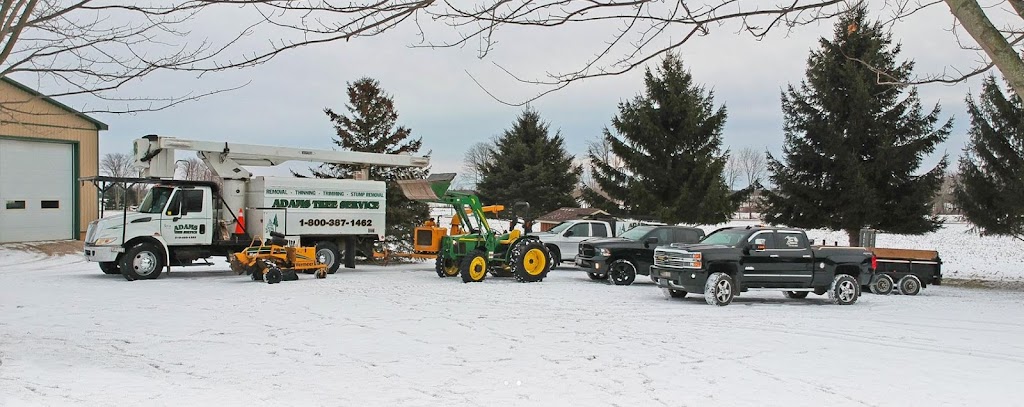 Adams Tree Service Ltd. | 813126 Base Line, Norwich, ON N0J 1P0, Canada | Phone: (519) 536-6865