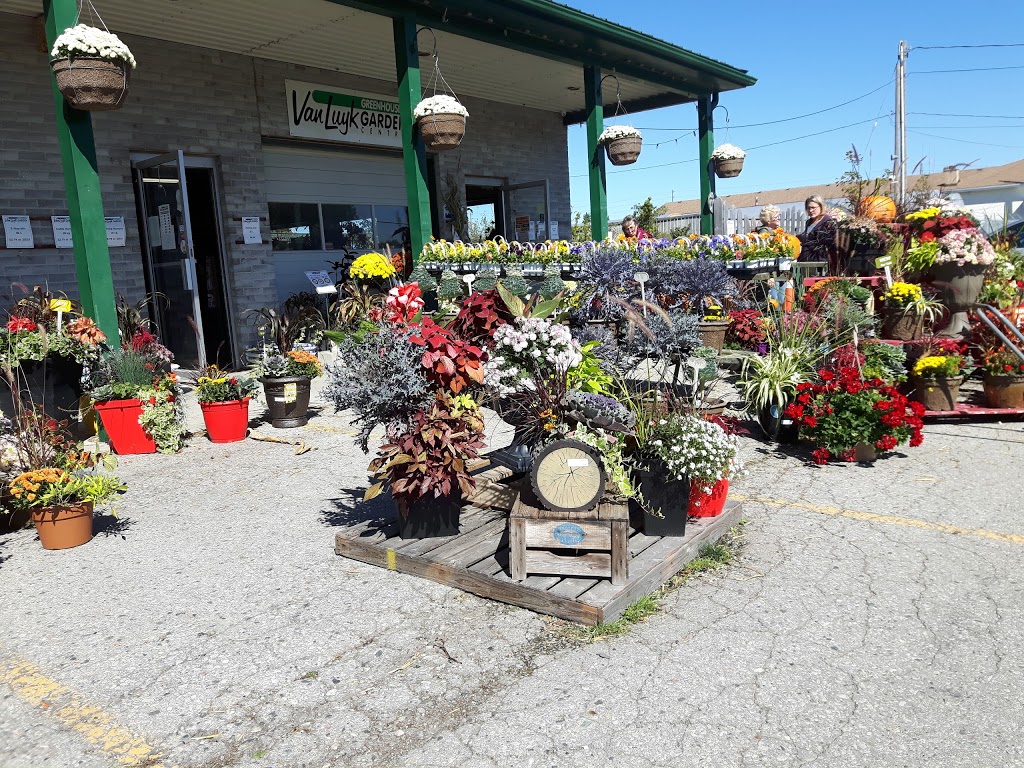 Van Luyk Greenhouses and Garden Centre | 1728 Gore Rd, London, ON N5W 5L5, Canada | Phone: (519) 455-2646
