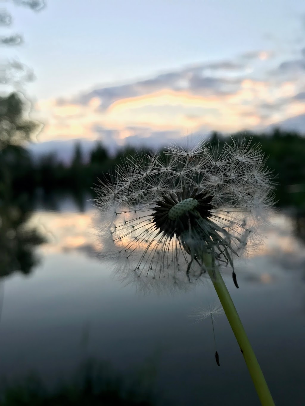 David Laird Campground | 2km East of the Western Development Museum between Hwy 16& 40 Farm, North Battleford, SK S9A 3M1, Canada | Phone: (306) 445-3552