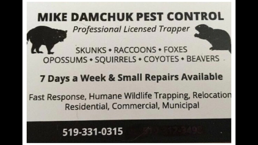 Mike Damchuk Pest Control | Kimball Rd, Corunna, ON N0N 1G0, Canada | Phone: (519) 331-0315