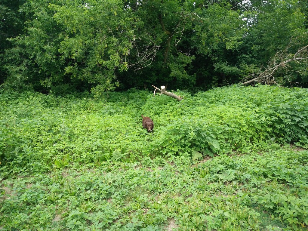 Pottersburg Off Leash Dog Park | Pottersburg-FIDO Off-leash Area, London, ON N5W 1B1, Canada | Phone: (519) 661-2489