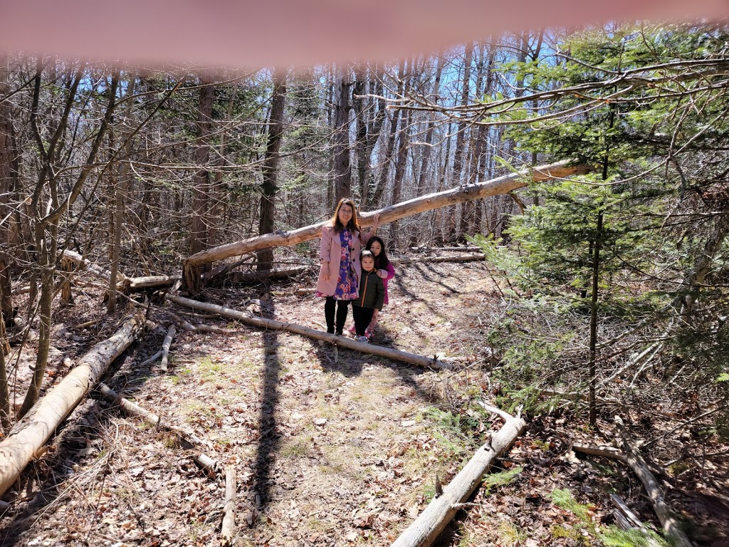 The Wolfville Watershed Nature Preserve | 1351 Forest Hill Rd, Wolfville, NS B4P 2R1, Canada | Phone: (902) 425-5263