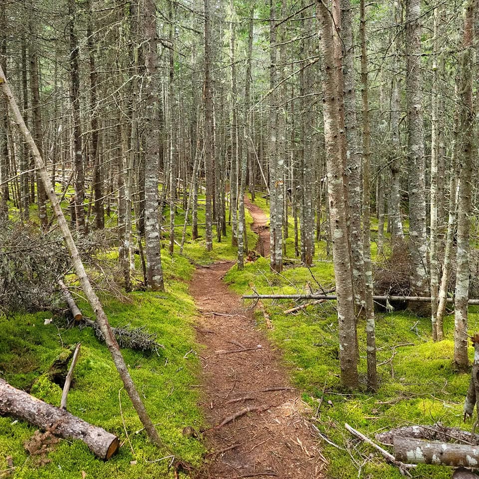 Winter River Hiking Trail | E Suffolk Extension, Prince Edward Island C1C 0A7, Canada | Phone: (902) 894-7535