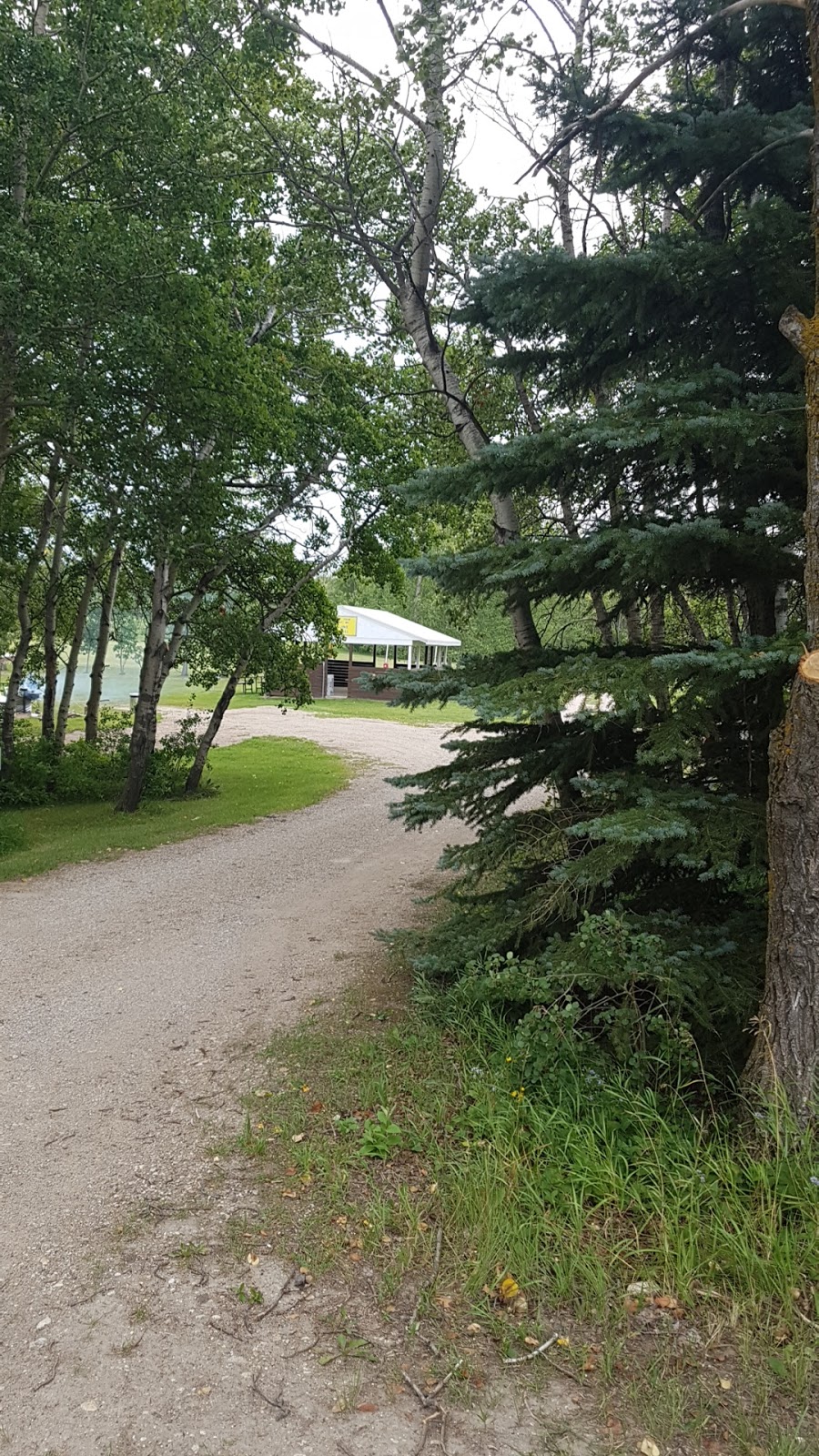 Ituna & District Regional Park | Unnamed Road, 1N0, Ituna, SK S0A 1N0, Canada | Phone: (306) 795-7879