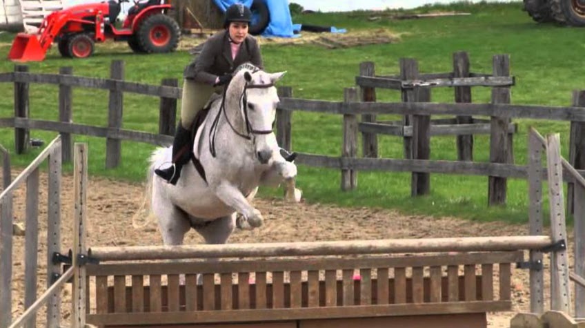 Hse Stables | 44135 Sparta Line, St Thomas, ON N5P 3S8, Canada | Phone: (519) 633-1054