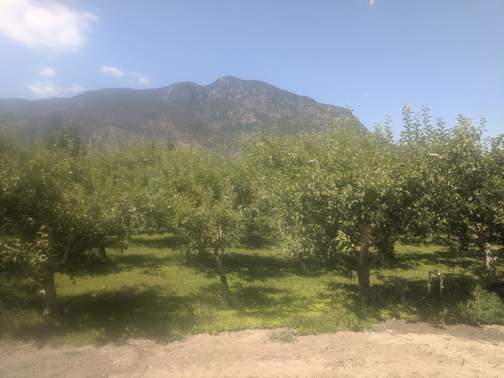 Untangled Craft Cidery | 725 MacKenzie Rd, Cawston, BC V0X 1C2, Canada | Phone: (250) 499-0758