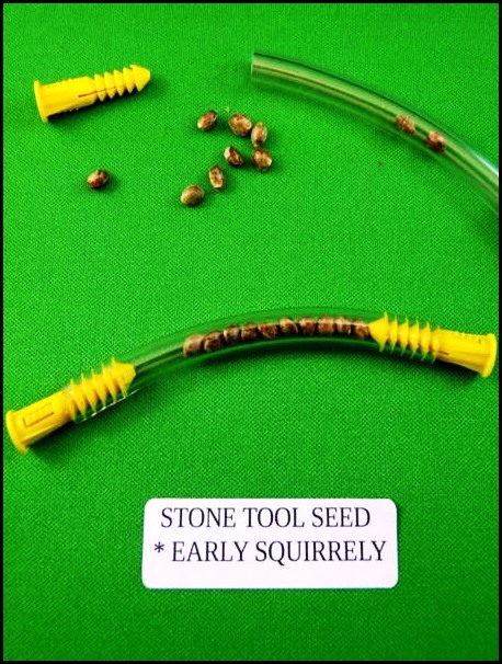 Stone-Tool-Seed | 372 Harley Rd, Harley, ON N0E 1E0, Canada | Phone: (226) 966-3382