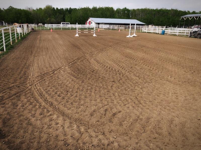 Higher Ground Horse Boarding | 52161 Range Rd 220, Sherwood Park, AB T8E 1B8, Canada | Phone: (780) 905-9333
