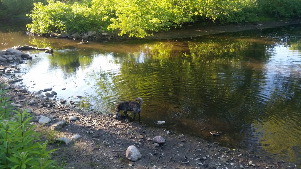 Courtcliffe Park | 159 Carlisle Rd, Carlisle, ON L0R 1H0, Canada